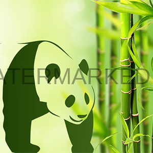 Bamboo home icon